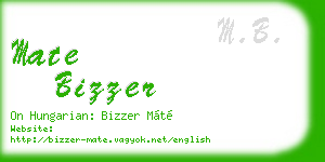 mate bizzer business card