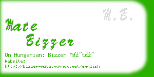 mate bizzer business card